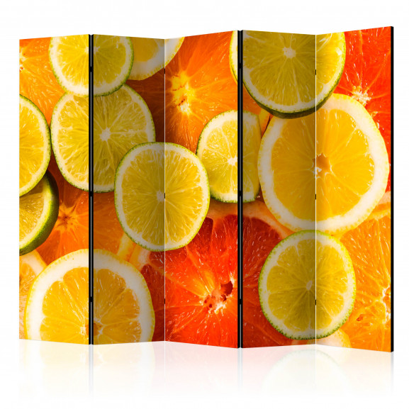 Paravan Citrus Fruits Ii [Room Dividers] 225 cm x 172 cm