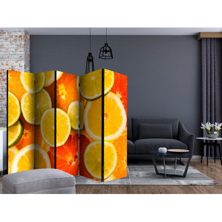 Paravan Citrus Fruits Ii [Room Dividers] 225 cm x 172 cm-01