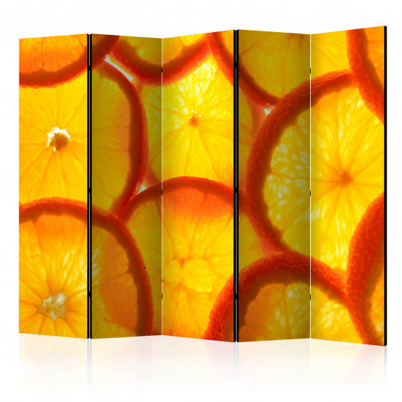 Paravan Orange Slices Ii [Room Dividers] 225 cm x 172 cm