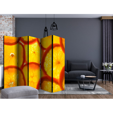 Paravan Orange Slices Ii [Room Dividers] 225 cm x 172 cm-01