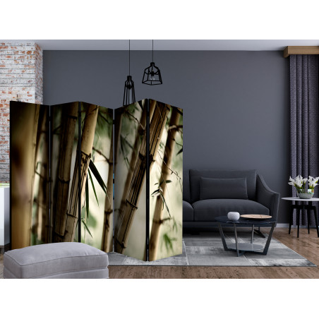 Paravan Fog And Bamboo Forest Ii [Room Dividers] 225 cm x 172 cm-01