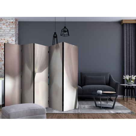 Paravan Tulips Fine Art Black And White Ii [Room Dividers] 225 cm x 172 cm-01