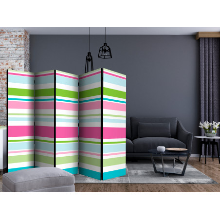 Paravan Bright Stripes Ii [Room Dividers] 225 cm x 172 cm-01