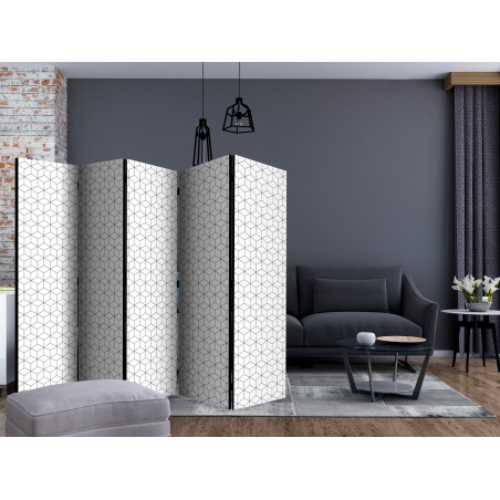 Paravan Cubes Texture Ii [Room Dividers] 225 cm x 172 cm-01