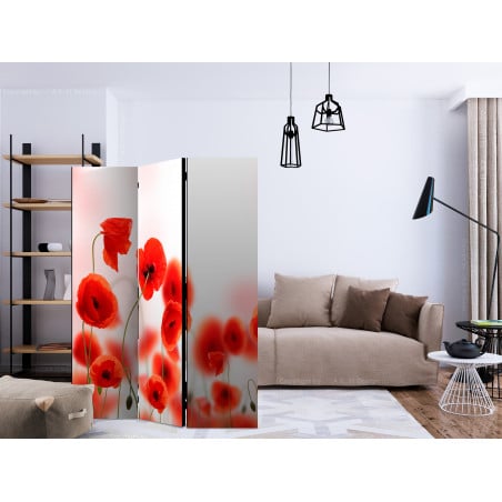 Paravan Sleepy Poppy'S Land [Room Dividers] 135 cm x 172 cm-01