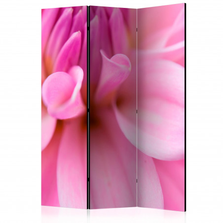 Paravan Flower Petals Dahlia [Room Dividers] 135 cm x 172 cm-01