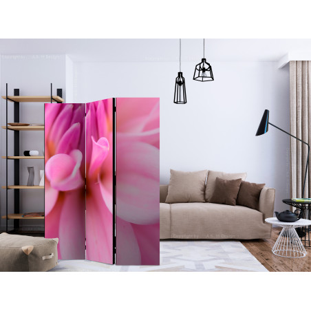 Paravan Flower Petals Dahlia [Room Dividers] 135 cm x 172 cm-01