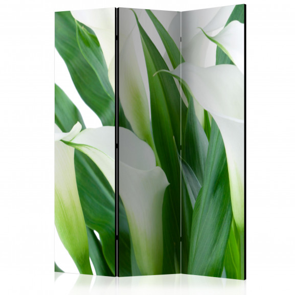 Paravan Bunch Of Flowers Callas [Room Dividers] 135 cm x 172 cm