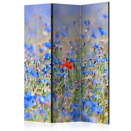 Paravan A Sky-Colored Meadow Cornflowers [Room Dividers] 135 cm x 172 cm-01