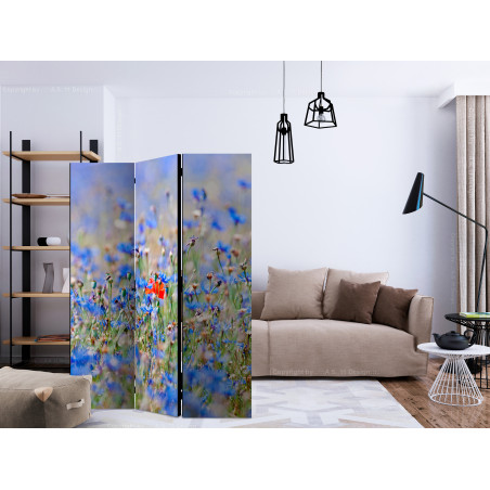 Paravan A Sky-Colored Meadow Cornflowers [Room Dividers] 135 cm x 172 cm-01