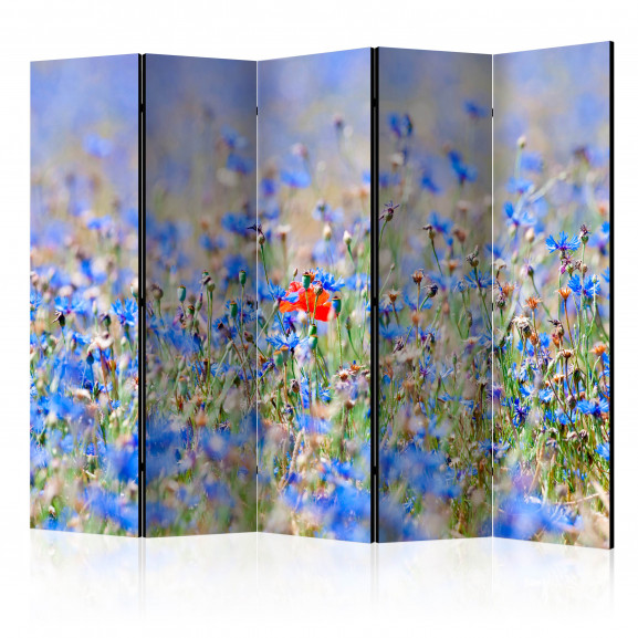 Paravan A Sky-Colored Meadow Cornflowers Ii [Room Dividers] 225 cm x 172 cm