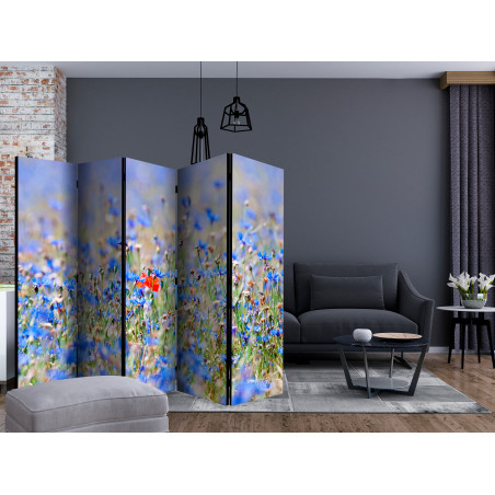 Paravan A Sky-Colored Meadow Cornflowers Ii [Room Dividers] 225 cm x 172 cm-01