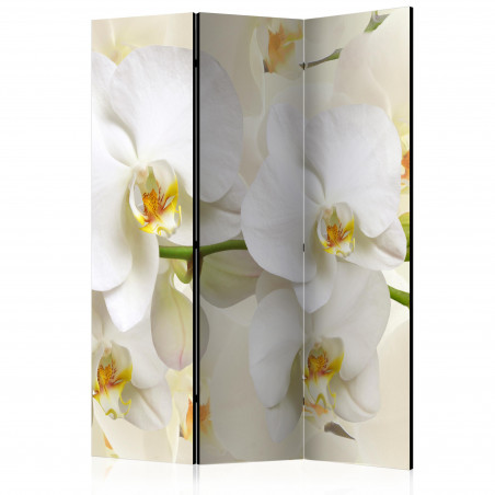 Paravan Orchid Branch [Room Dividers] 135 cm x 172 cm-01