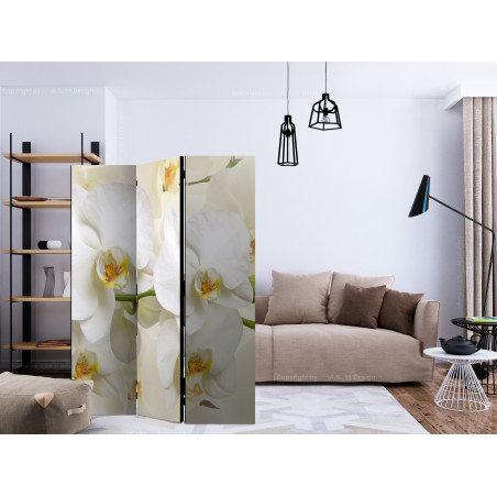 Paravan Orchid Branch [Room Dividers] 135 cm x 172 cm-01