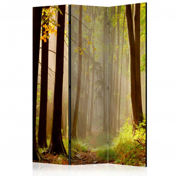 Paravan Mysterious Forest Path [Room Dividers] 135 cm x 172 cm