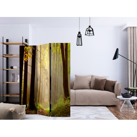 Paravan Mysterious Forest Path [Room Dividers] 135 cm x 172 cm-01