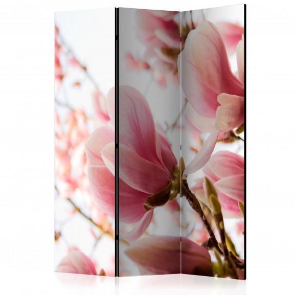 Paravan Pink Magnolia [Room Dividers] 135 cm x 172 cm