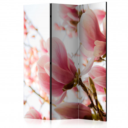 Paravan Pink Magnolia [Room Dividers] 135 cm x 172 cm-01