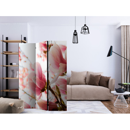 Paravan Pink Magnolia [Room Dividers] 135 cm x 172 cm-01