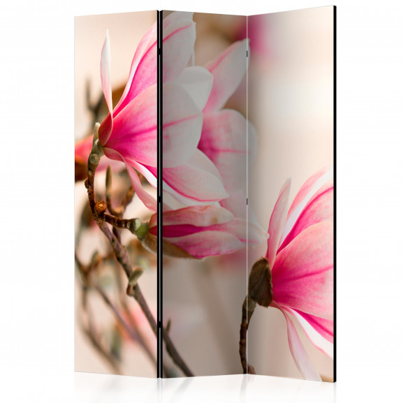 Paravan Branch Of Magnolia Tree [Room Dividers] 135 cm x 172 cm