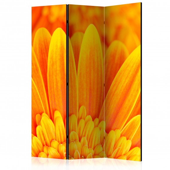 Paravan Yellow Gerbera Daisies [Room Dividers] 135 cm x 172 cm