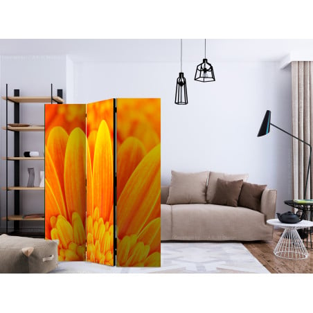 Paravan Yellow Gerbera Daisies [Room Dividers] 135 cm x 172 cm-01