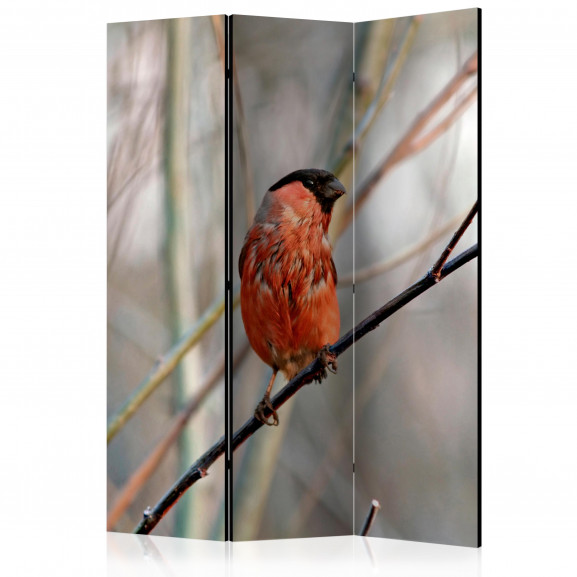 Paravan Bullfinch In The Forest [Room Dividers] 135 cm x 172 cm