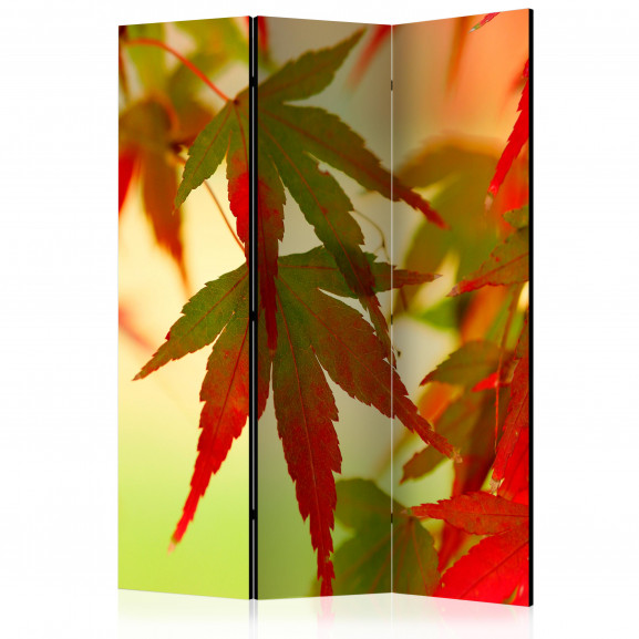 Paravan Colourful Leaves [Room Dividers] 135 cm x 172 cm