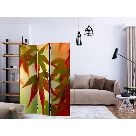 Paravan Colourful Leaves [Room Dividers] 135 cm x 172 cm-01