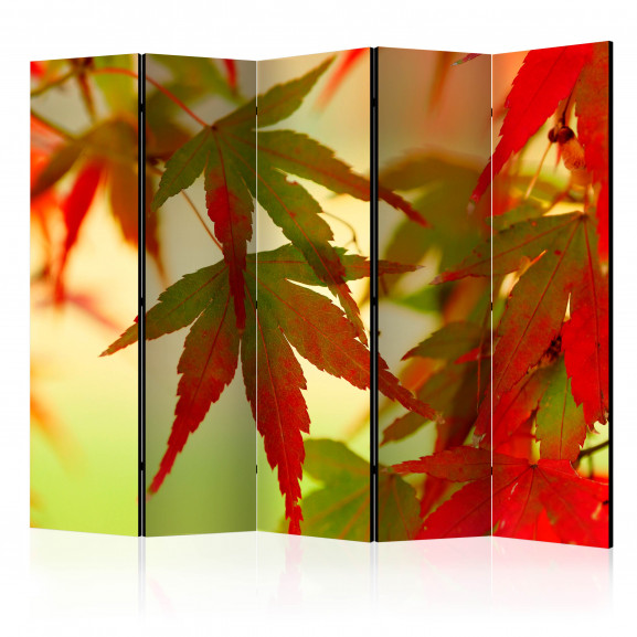 Paravan Colourful Leaves Ii [Room Dividers] 225 cm x 172 cm