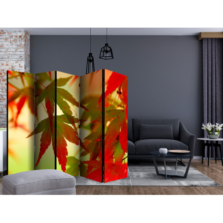 Paravan Colourful Leaves Ii [Room Dividers] 225 cm x 172 cm-01