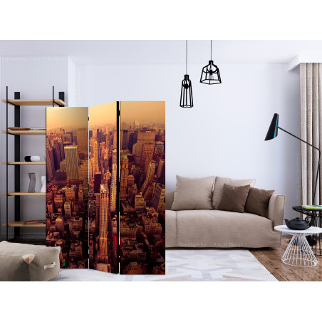 Paravan Bird Eye View Of Manhattan, New York [Room Dividers] 135 cm x 172 cm-01