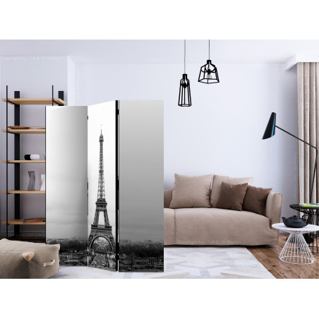 Paravan Paris: Black And White Photography [Room Dividers] 135 cm x 172 cm-01