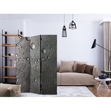 Paravan Steel Surface With Water Drops [Room Dividers] 135 cm x 172 cm-01