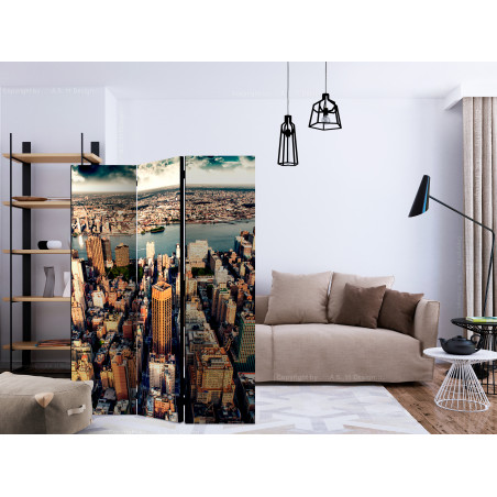 Paravan Bird'S Eye View Of New York [Room Dividers] 135 cm x 172 cm-01