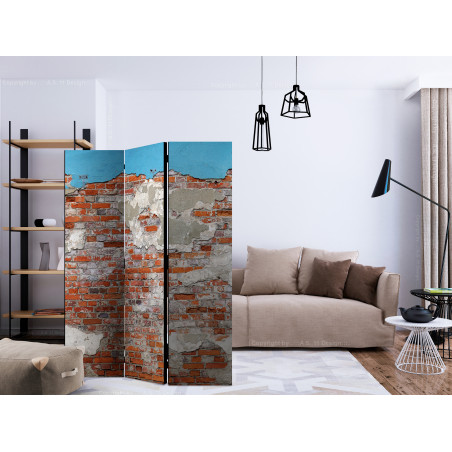 Paravan Secrets Of The Wall [Room Dividers] 135 cm x 172 cm-01