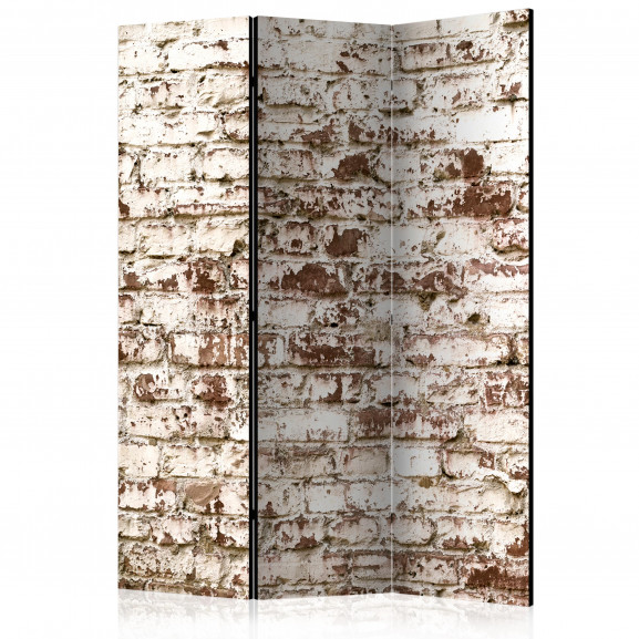 Paravan Vestige Of Time [Room Dividers] 135 cm x 172 cm