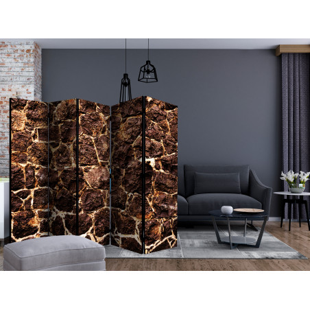 Paravan Brown Cave Ii [Room Dividers] 225 cm x 172 cm-01