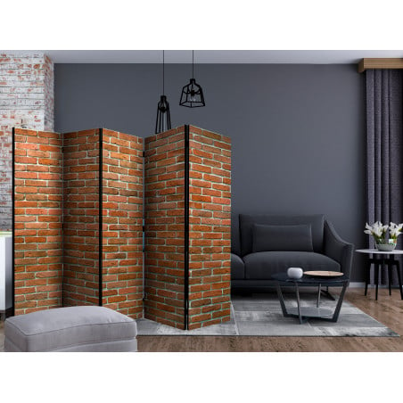 Paravan Urban Border Ii [Room Dividers] 225 cm x 172 cm-01