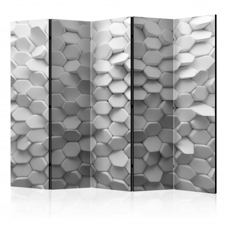 Paravan White Mystery Ii [Room Dividers] 225 cm x 172 cm-01