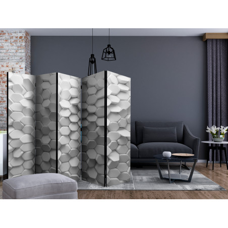 Paravan White Mystery Ii [Room Dividers] 225 cm x 172 cm-01