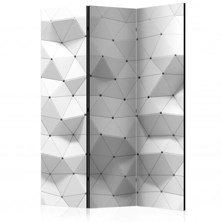 Paravan Amazing Symmetry [Room Dividers] 135 cm x 172 cm-01