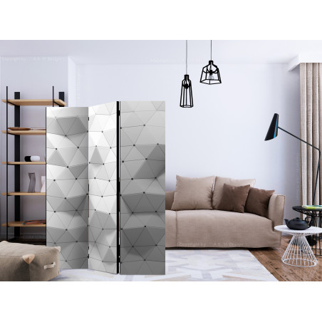 Paravan Amazing Symmetry [Room Dividers] 135 cm x 172 cm-01