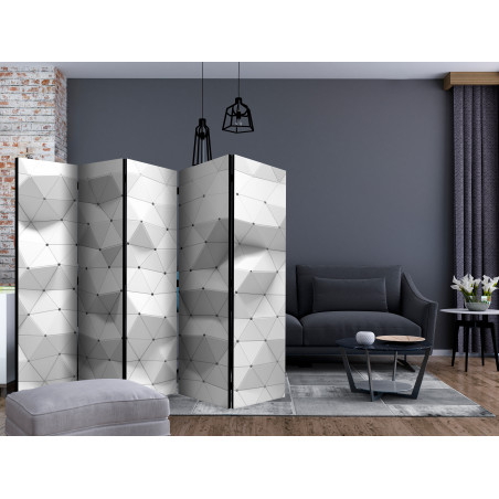 Paravan Amazing Symmetry Ii [Room Dividers] 225 cm x 172 cm-01