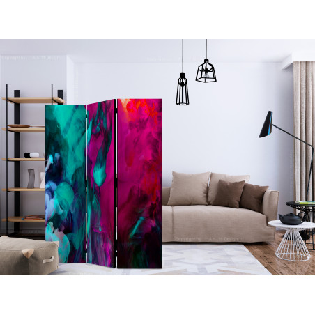 Paravan Color Madness [Room Dividers] 135 cm x 172 cm-01