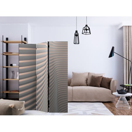 Paravan Cool Stripes [Room Dividers] 135 cm x 172 cm-01