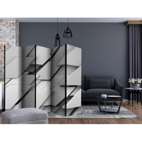 Paravan The Edge Of Gray Ii [Room Dividers] 225 cm x 172 cm-01