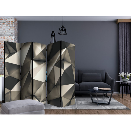 Paravan Cosmic Silver Ii [Room Dividers] 225 cm x 172 cm-01