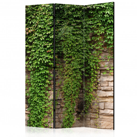 Paravan Ivy Wall [Room Dividers] 135 cm x 172 cm