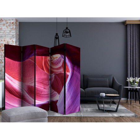 Paravan Amazing Cave Ii [Room Dividers] 225 cm x 172 cm-01